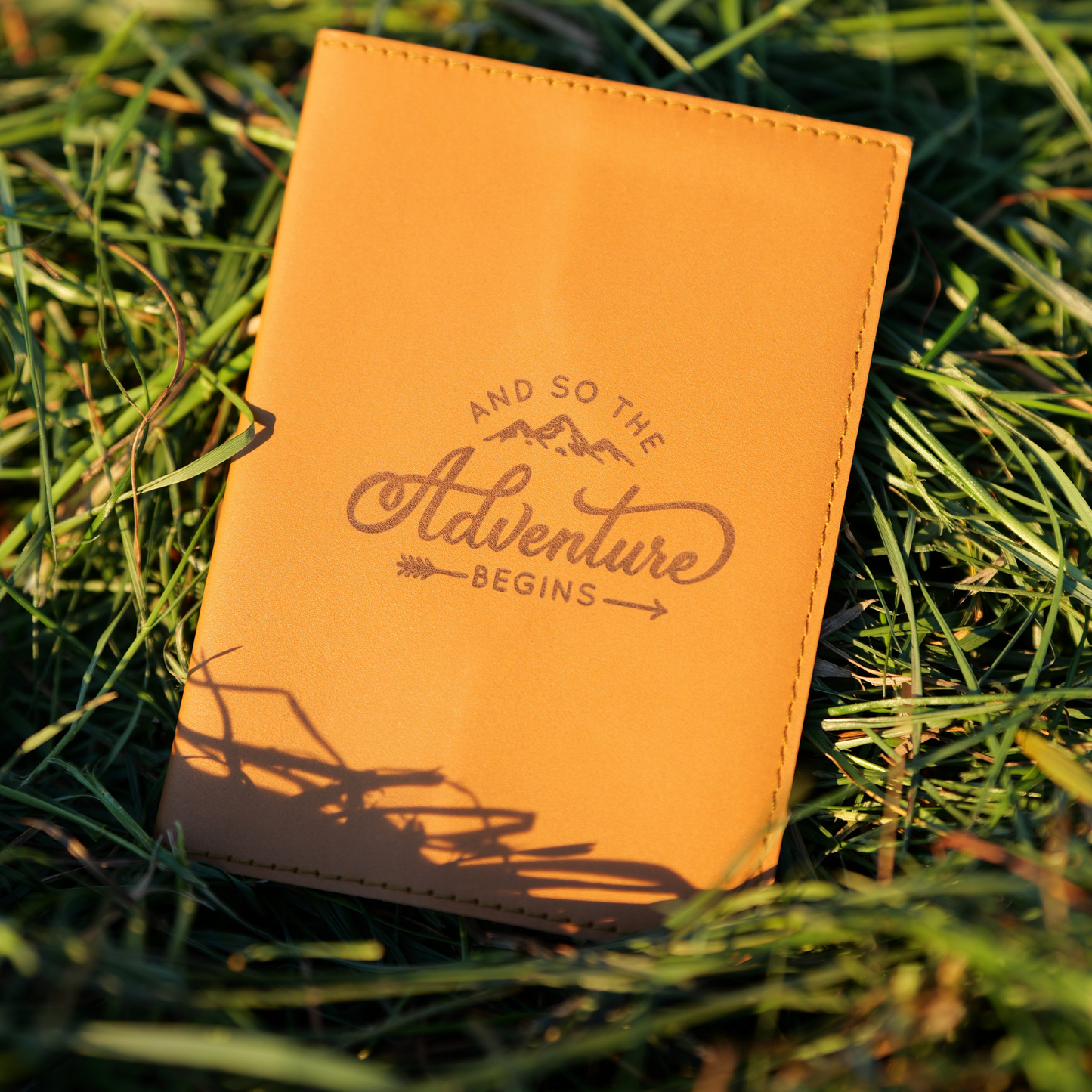 and so the adventure begins